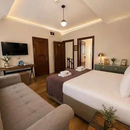 Carme House By Genius Apartment Istanbul